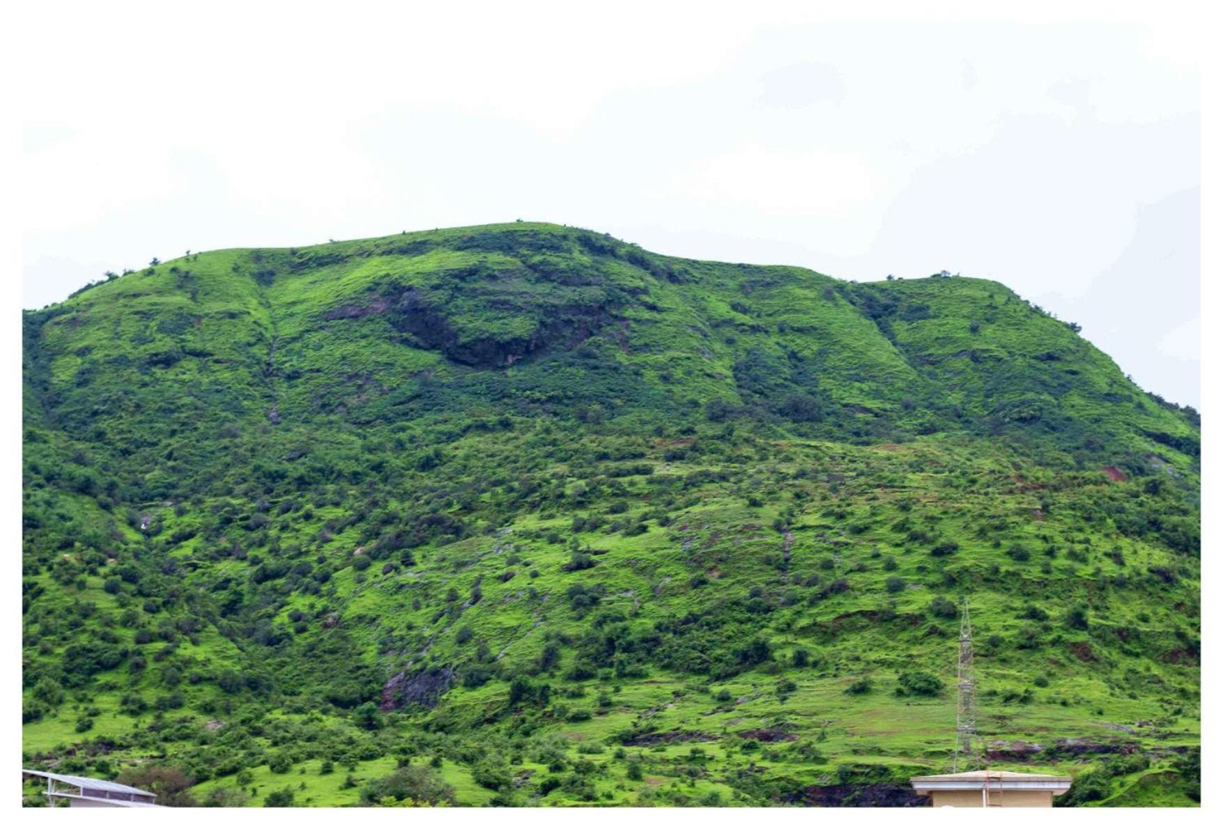 Salt Life Villa Lonavala Dış mekan fotoğraf